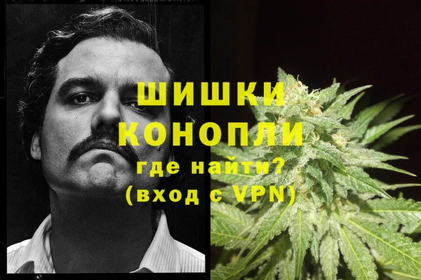 ПСИЛОЦИБИНОВЫЕ ГРИБЫ Каменка