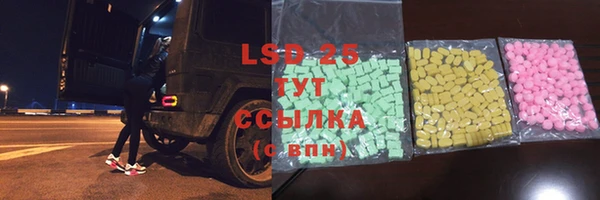 ПСИЛОЦИБИНОВЫЕ ГРИБЫ Каменка