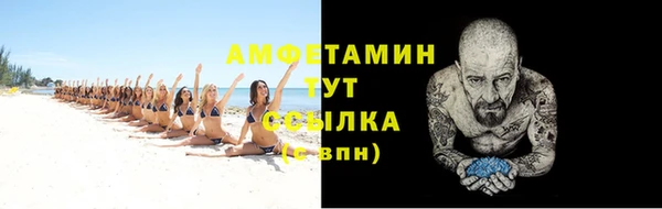 ПСИЛОЦИБИНОВЫЕ ГРИБЫ Каменка