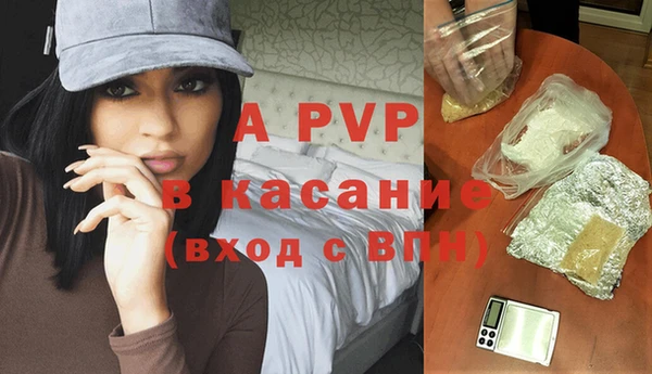 ПСИЛОЦИБИНОВЫЕ ГРИБЫ Каменка