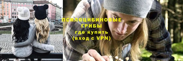 ПСИЛОЦИБИНОВЫЕ ГРИБЫ Каменка
