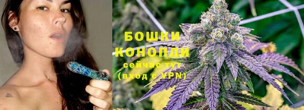 ПСИЛОЦИБИНОВЫЕ ГРИБЫ Каменка