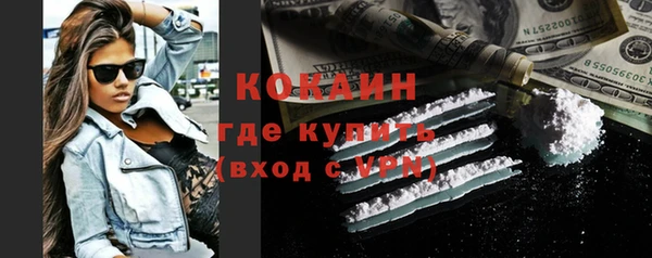 ПСИЛОЦИБИНОВЫЕ ГРИБЫ Каменка