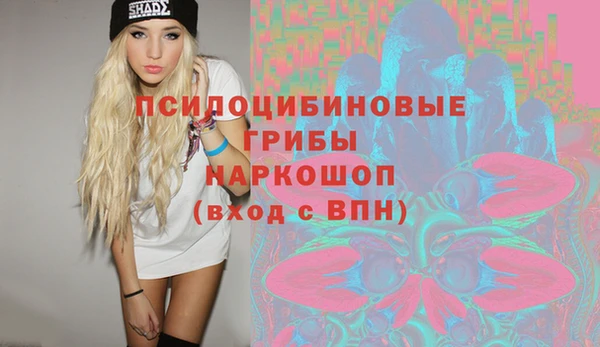ПСИЛОЦИБИНОВЫЕ ГРИБЫ Каменск-Шахтинский