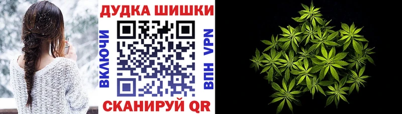Купить где  Холмск  Каннабис план 